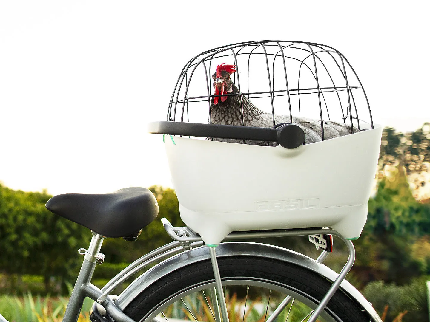 BASIL PET CARRIER