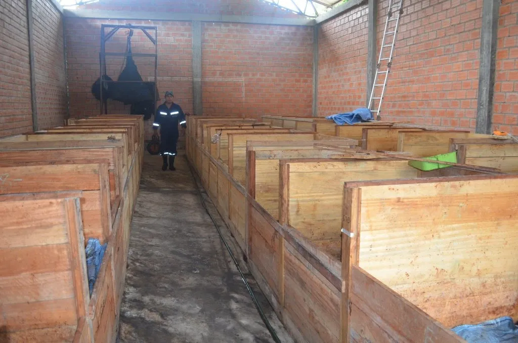 Bolivia Heirloom (Boliviano) Certified-Organic Unroasted Cacao Beans. Available in NJ and MA. NEW CROP!