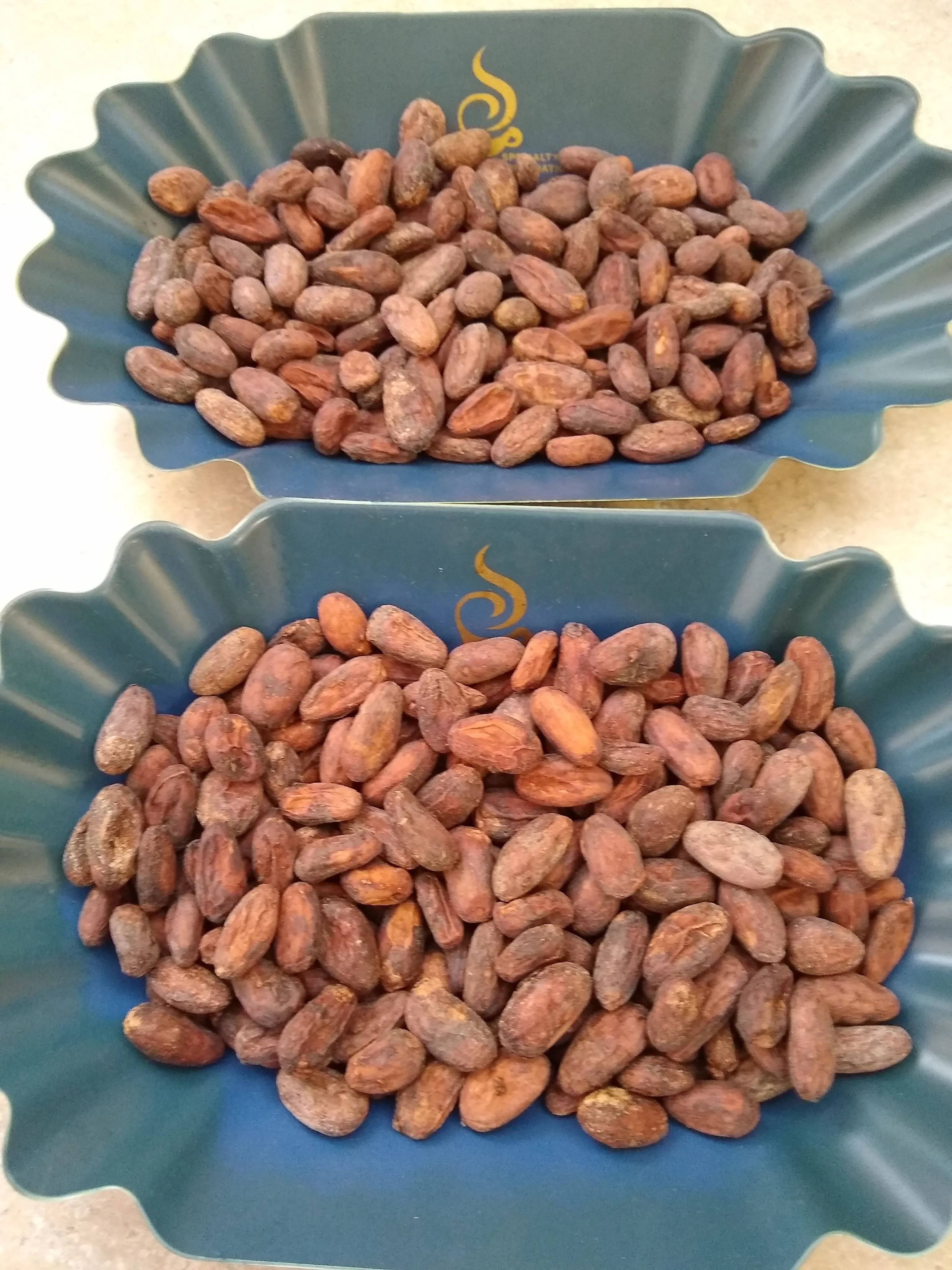 Bolivia Heirloom (Boliviano) Certified-Organic Unroasted Cacao Beans. Available in NJ and MA. NEW CROP!
