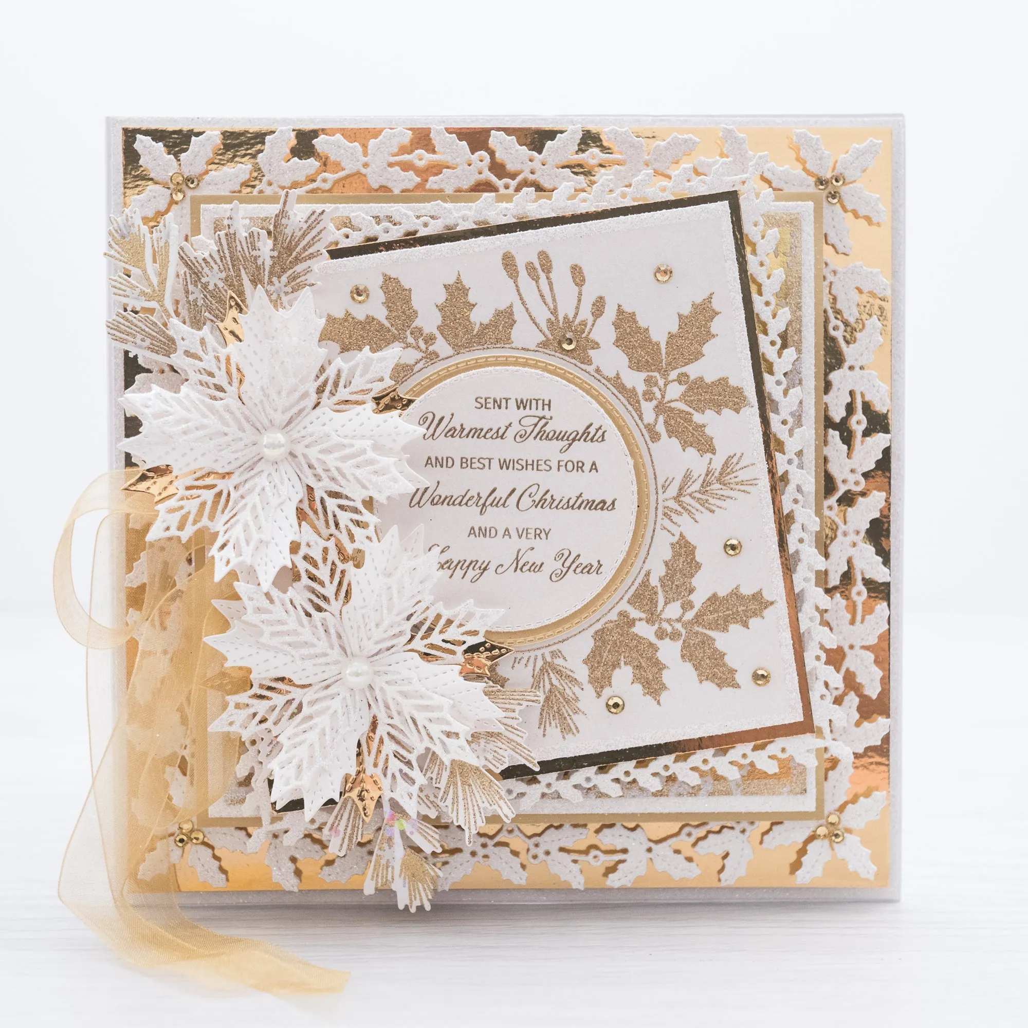 Chloes Creative Cards Die & Stamp Set - Christmas Foliage Frame