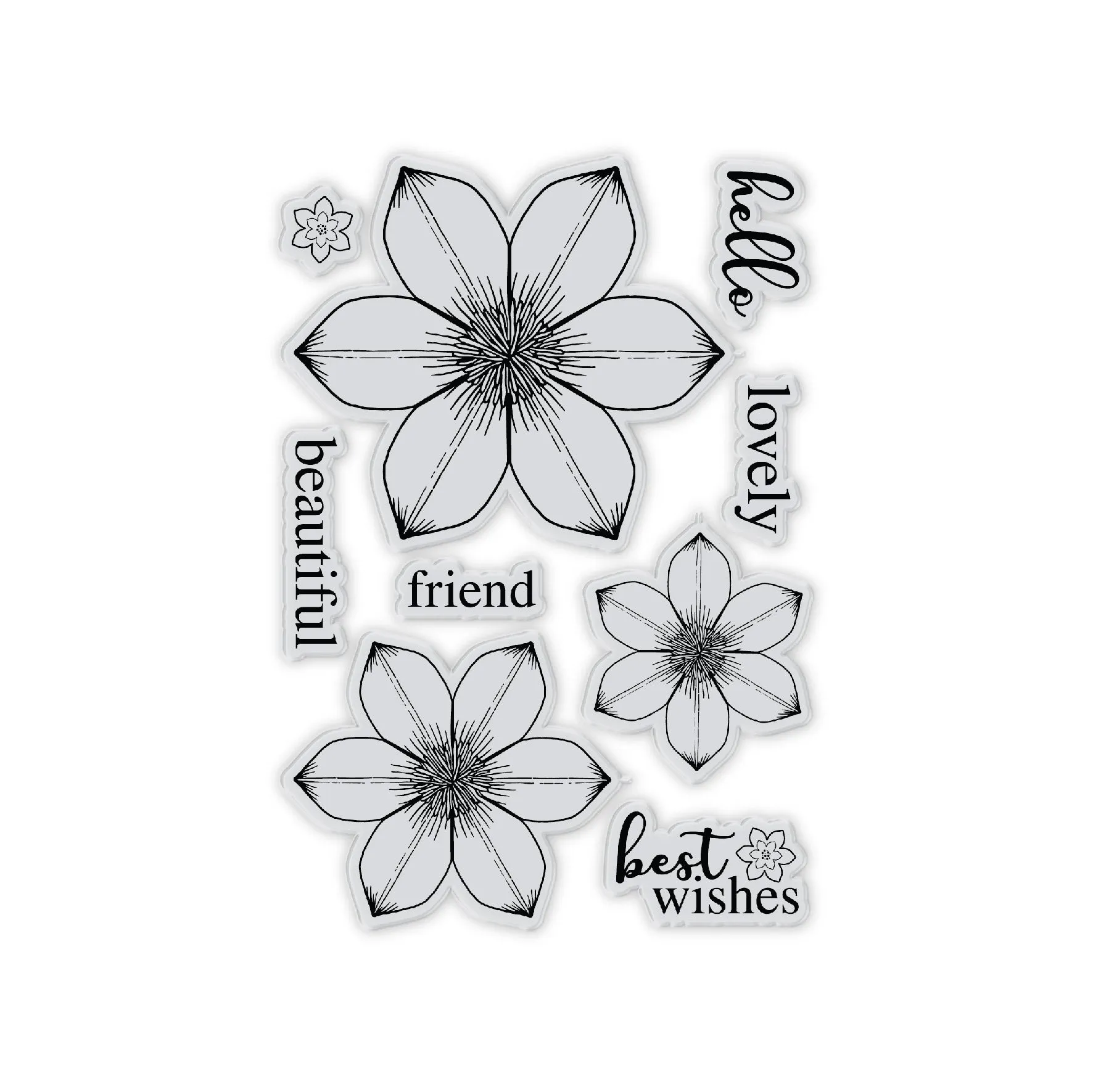 Chloes Creative Cards Die & Stamp Set – Summer Flower Trio