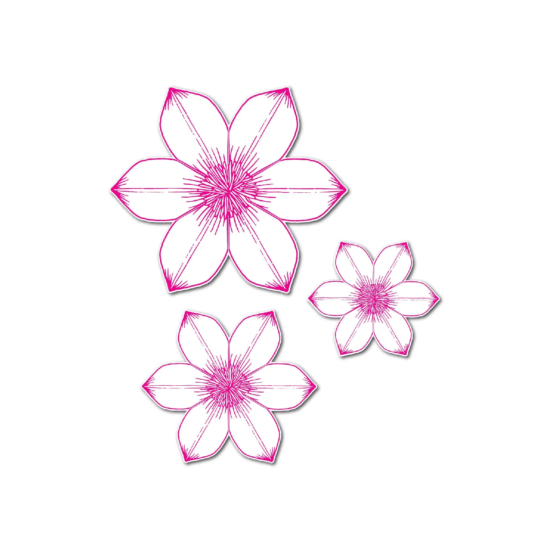 Chloes Creative Cards Die & Stamp Set – Summer Flower Trio