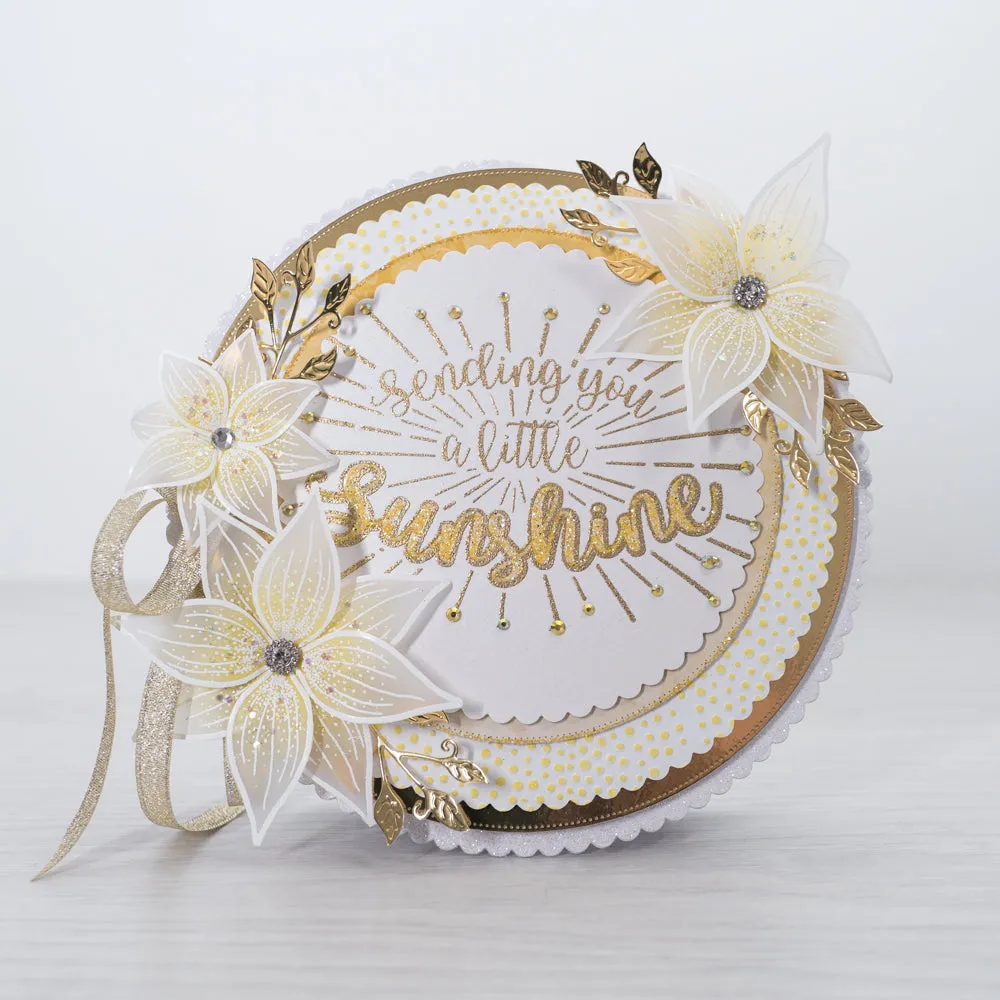 Chloes Creative Cards Metal Die Set – 8x8" Scalloped & Pierced Circles