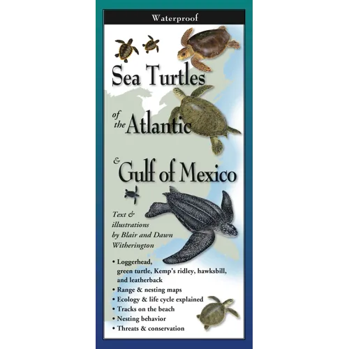 Earth Sky & Water Pamphlets, Sea Shells & Sea Turtles