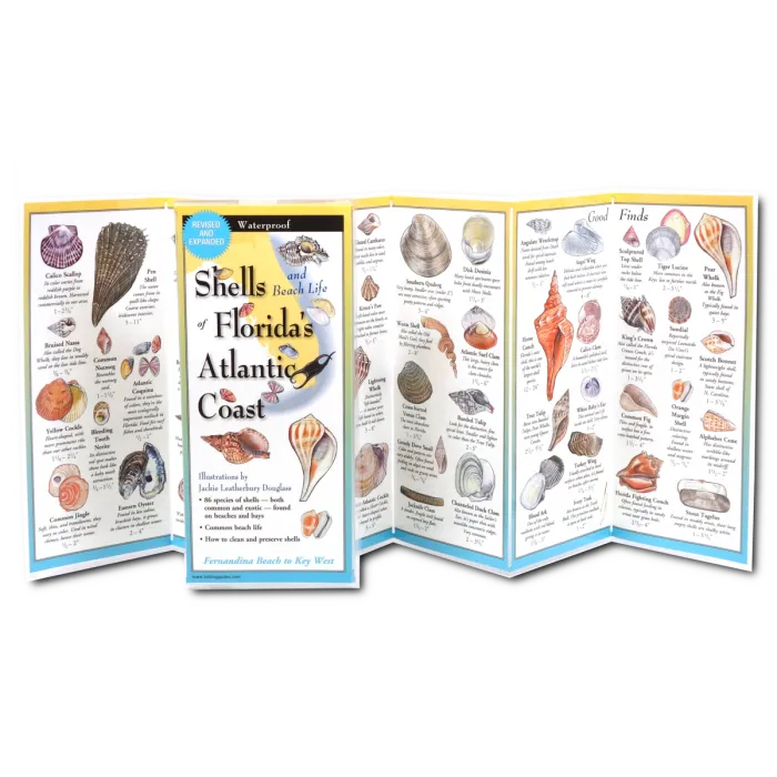 Earth Sky & Water Pamphlets, Sea Shells & Sea Turtles