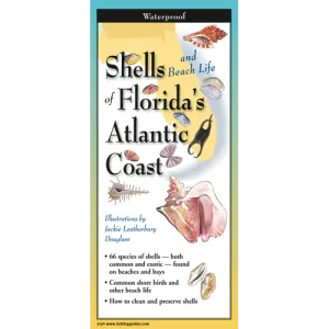 Earth Sky & Water Pamphlets, Sea Shells & Sea Turtles