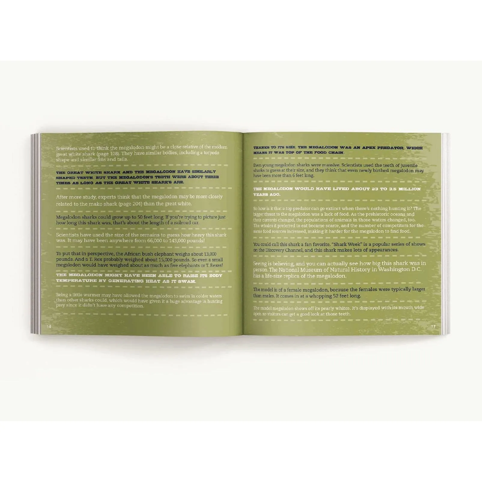 Harper Collins: The Little Chunky Book of Sharks: Hundreds of Fun Facts Spanning the Seven Seas