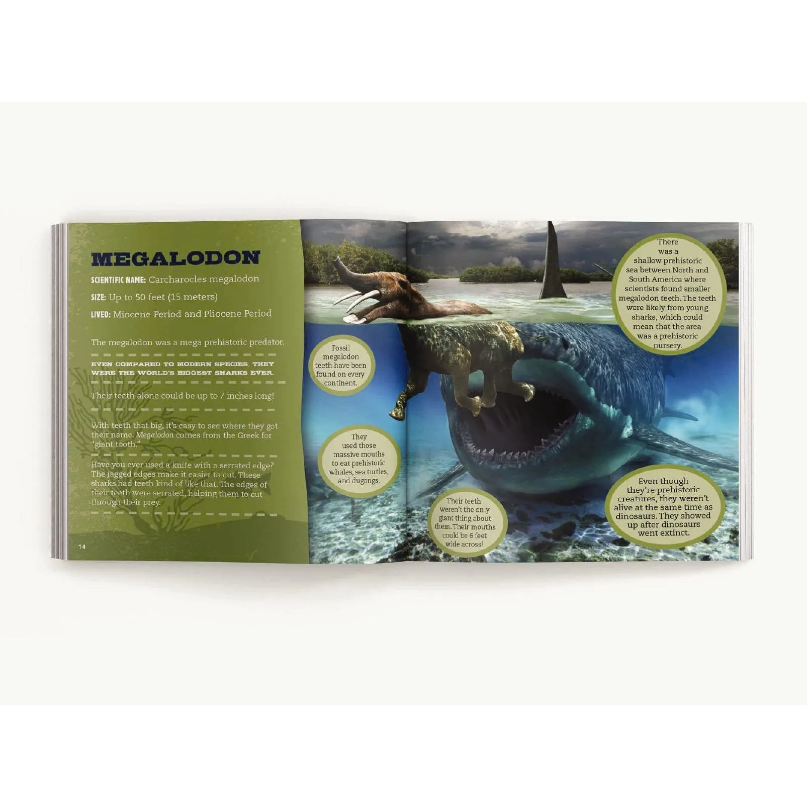 Harper Collins: The Little Chunky Book of Sharks: Hundreds of Fun Facts Spanning the Seven Seas