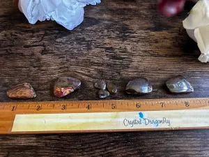 Koroit Boulder Opal Polished Small Free Form Pieces FB1252