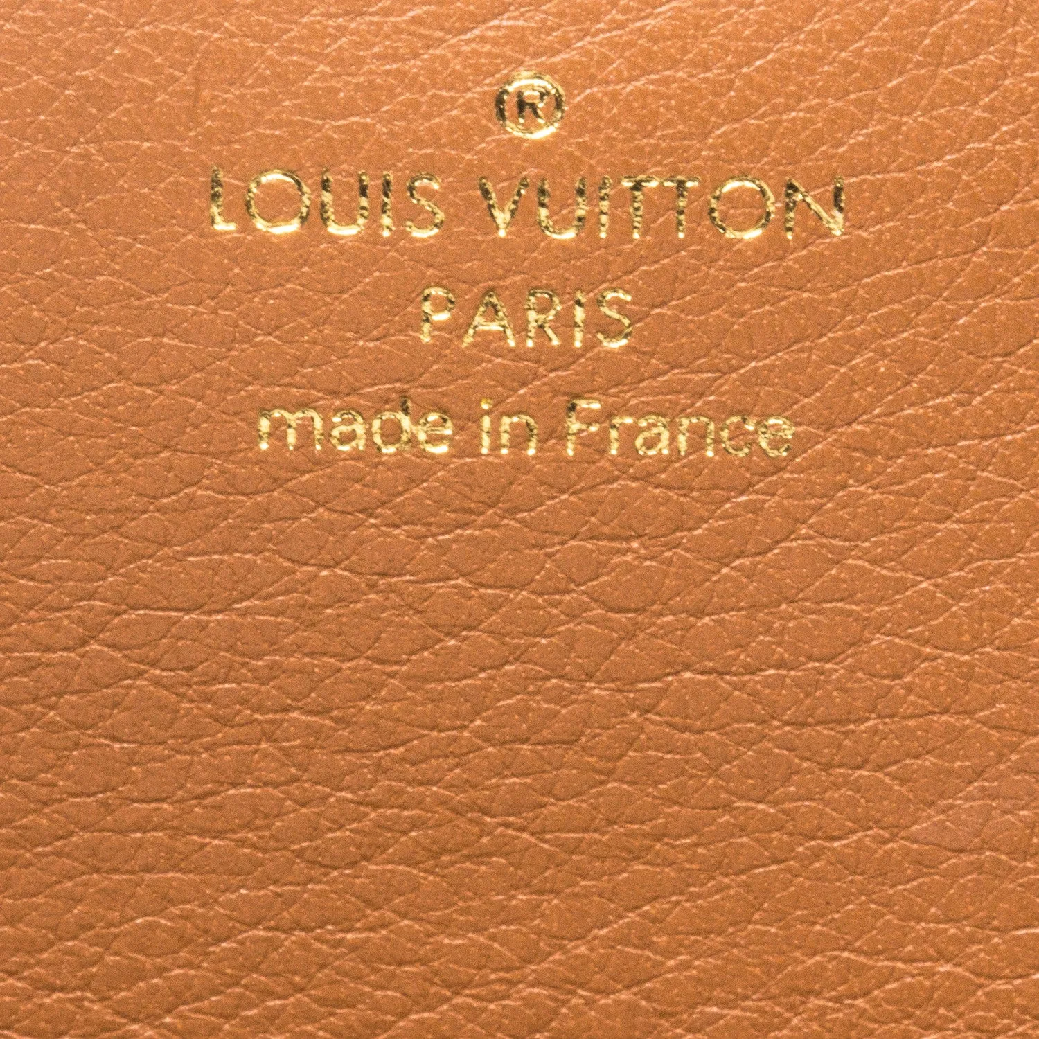 Louis Vuitton Elysee Clutch