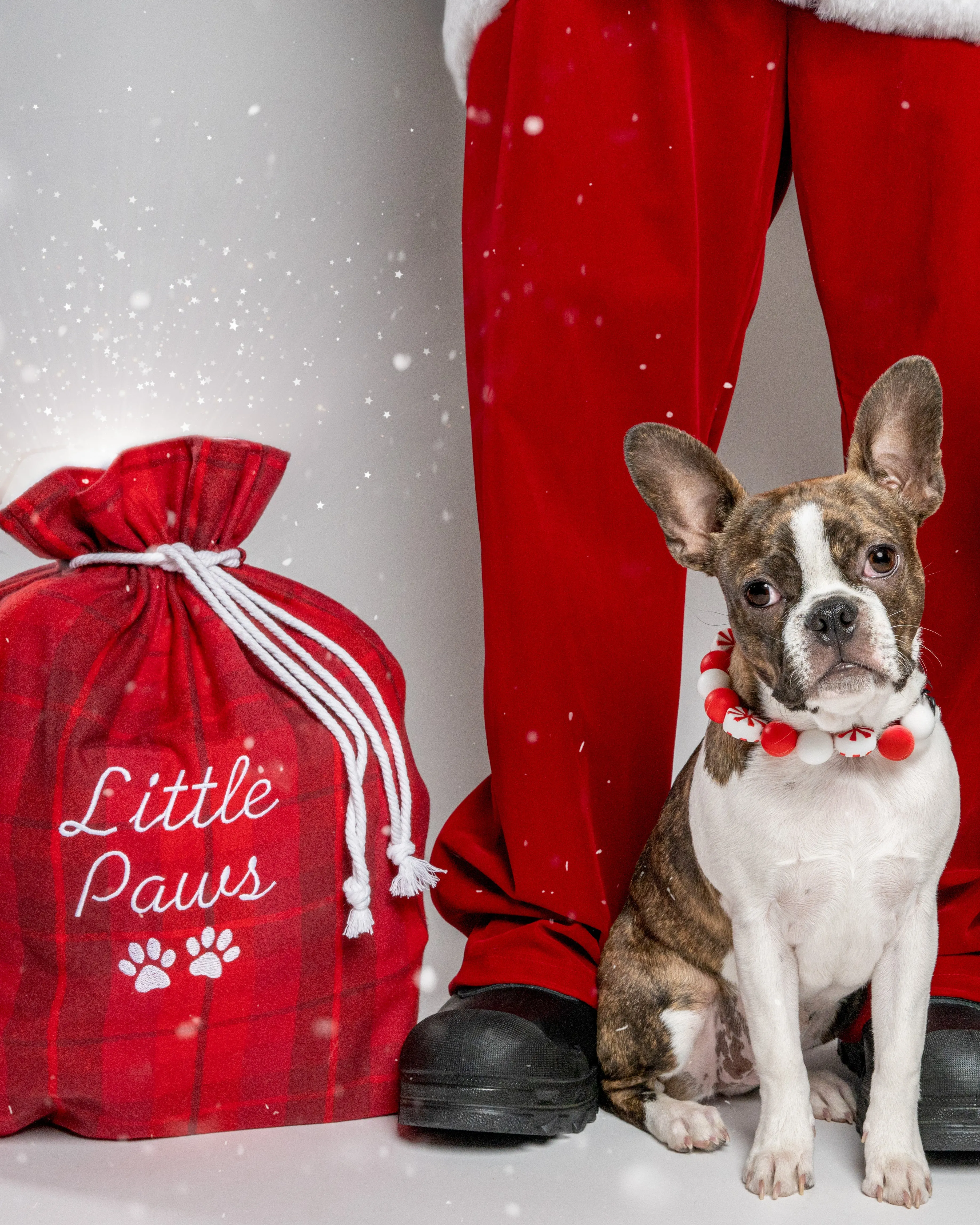 Personalized Dog Santa Sack Gift Bag with Red Flannel Plaid (Personalized with Embroidery)