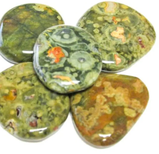 Rhyolite/Rain Forest Jasper Earth Stones