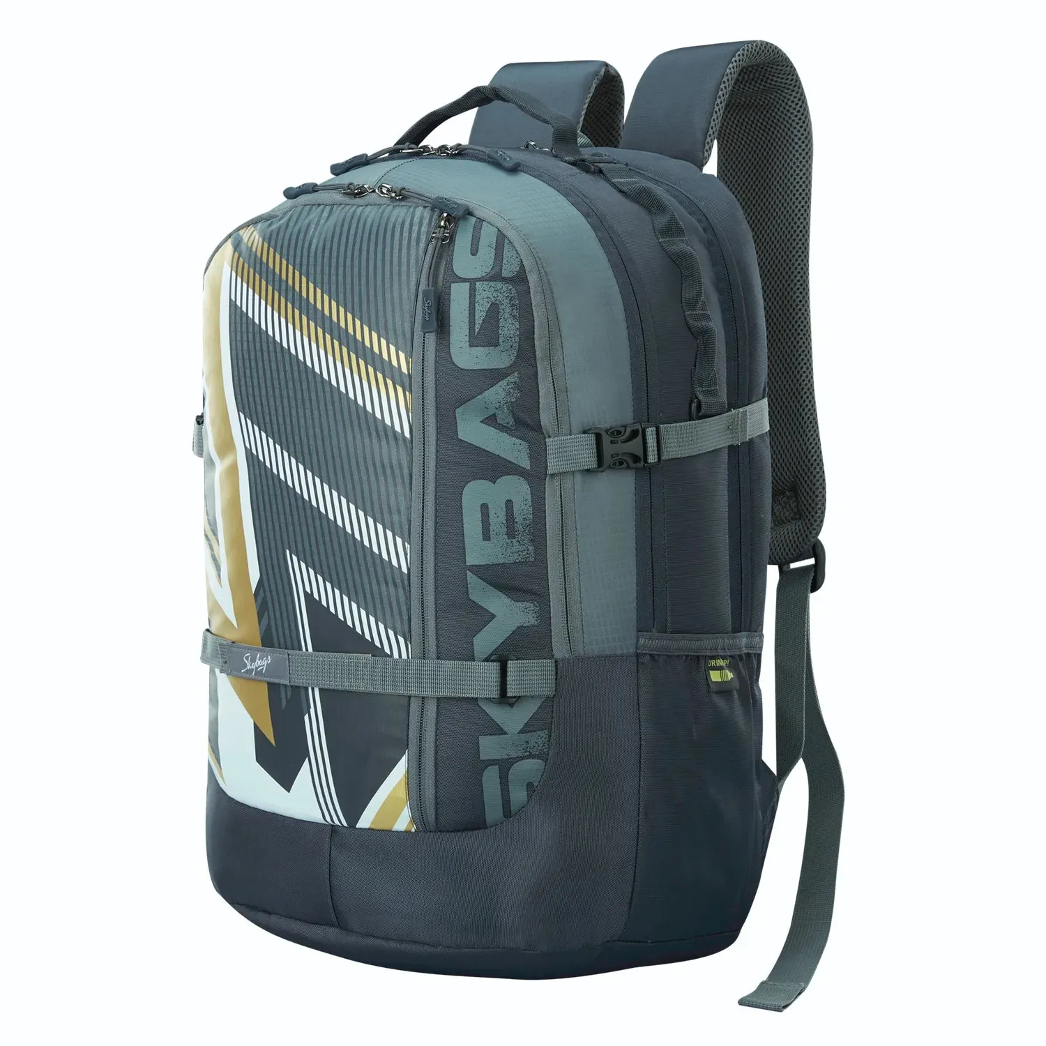 Skybags Campus Plus XL  01 Laptop Backpack Grey
