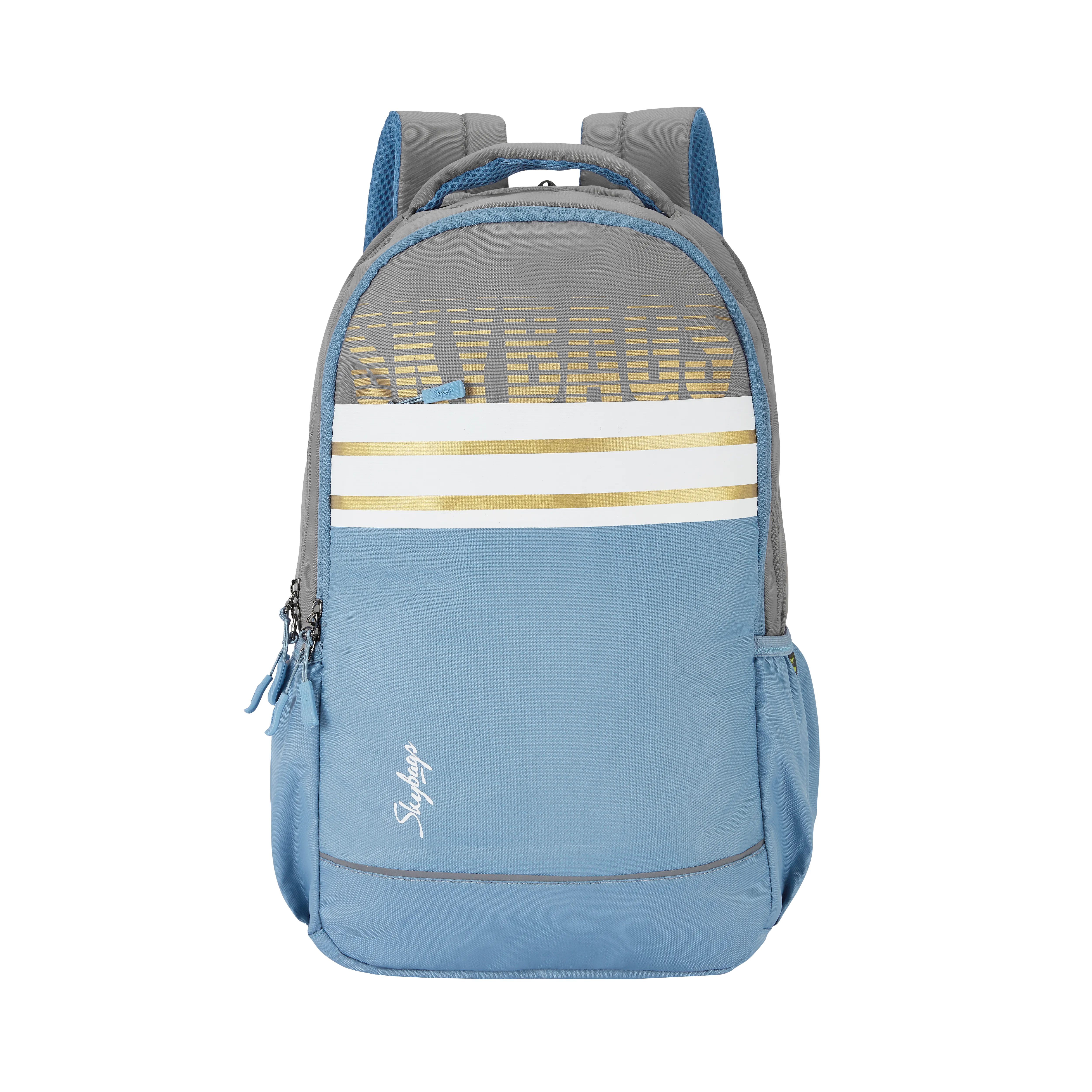 Skybags Strider Pro 07  Laptop Backpack (H) Grey