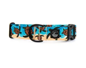 Turtle Beach