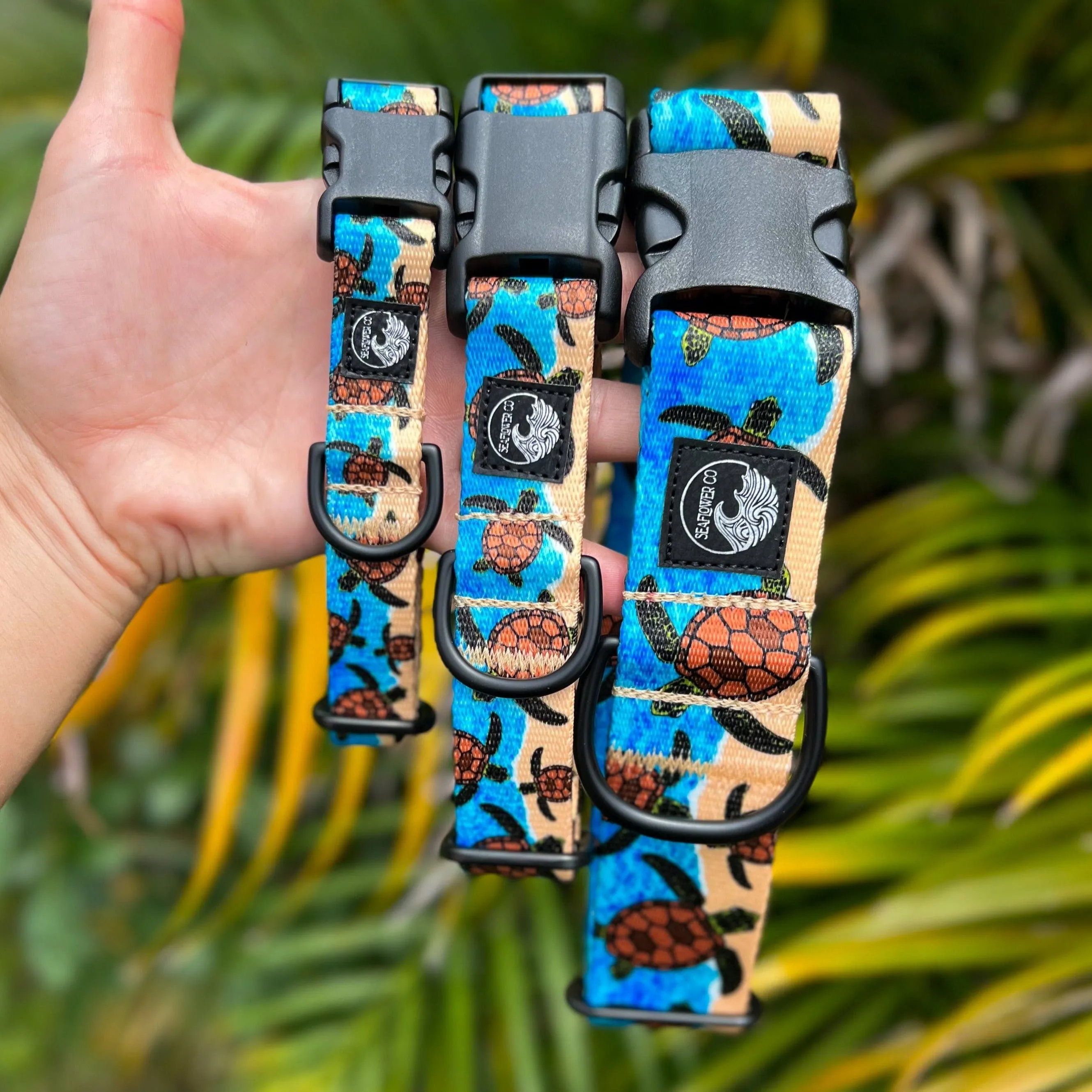 Turtle Beach