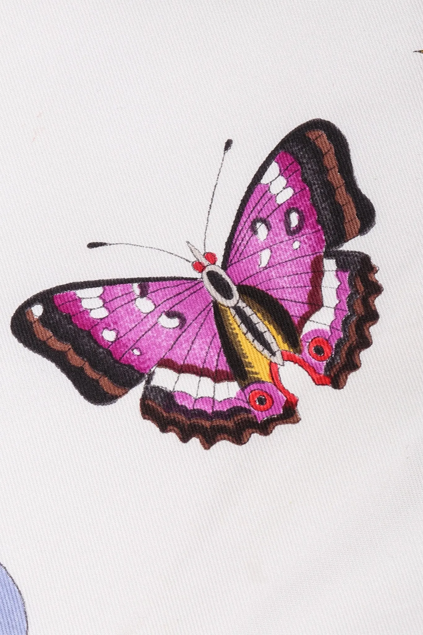 Vittorio Accornero Floral Butterfly Scarf